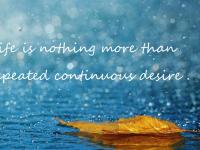 FB体育APP-尤文带走希腊神话，劳塔罗化身关键先生终结悬念