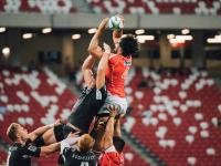 FB赛事直播-意甲焦点战与灰熊压制步行者，体育世界的双重奏