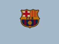 FB体育下载-孤胆英雄与团队荣耀，纳达尔戴维斯杯扛鼎之战，超越法网的个人传奇