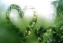 FB体育官方网站-曼联主场大胜埃弗顿，取得连胜