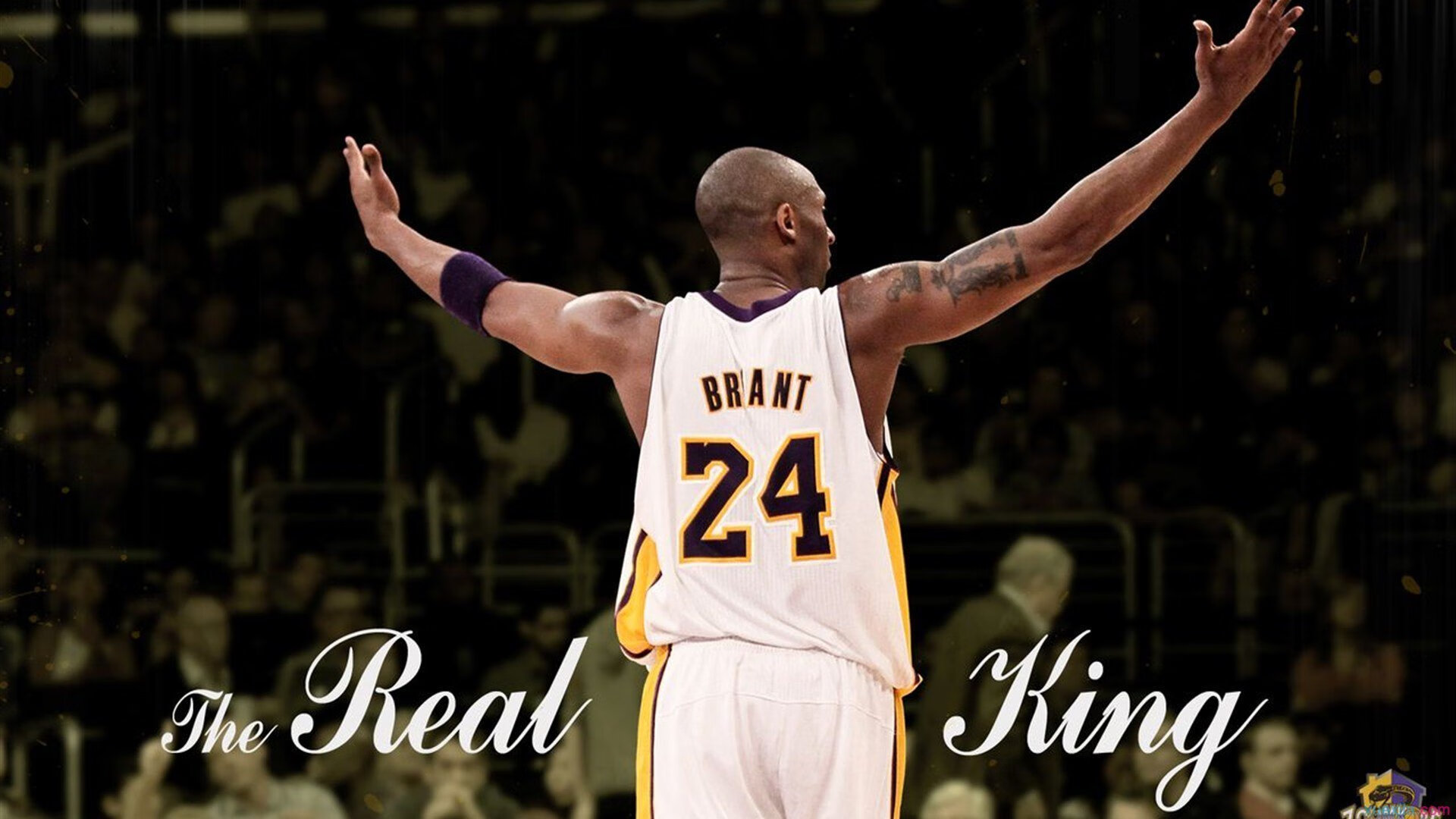 武切维奇，现代中锋的完美诠释—国王防线在爵士巨兽面前彻底崩塌